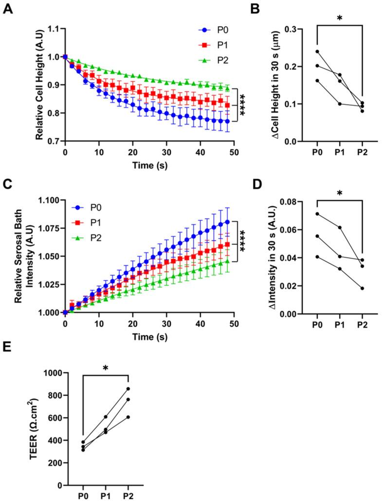 https://cdn.ncbi.nlm.nih.gov/pmc/blobs/1971/10092965/15e713f8f403/cells-12-00997-g003.jpg