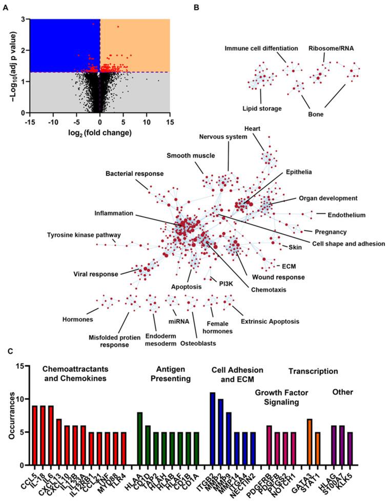 https://cdn.ncbi.nlm.nih.gov/pmc/blobs/1971/10092965/d89be56b3c7f/cells-12-00997-g004.jpg