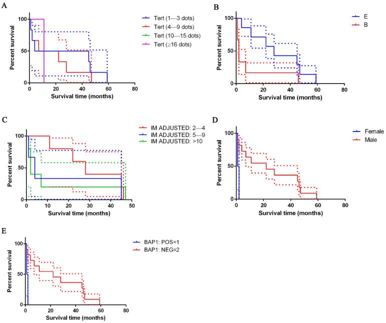 https://cdn.ncbi.nlm.nih.gov/pmc/blobs/197c/11764446/566928cd888d/cancers-17-00252-g004.jpg