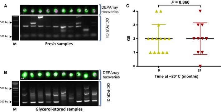 https://cdn.ncbi.nlm.nih.gov/pmc/blobs/1981/5709616/acfbb190b4ca/MOL2-11-1687-g003.jpg
