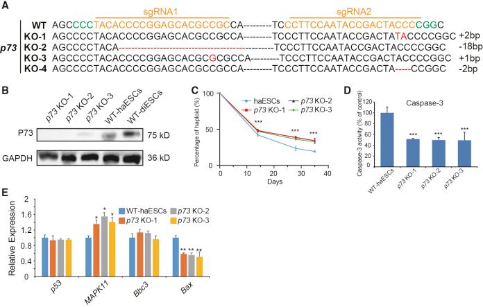 https://cdn.ncbi.nlm.nih.gov/pmc/blobs/1983/7363743/6cccfa5ca89f/gr5.jpg
