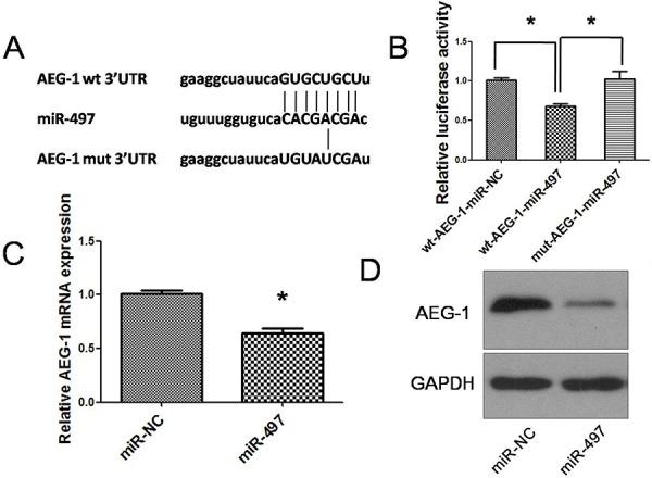 https://cdn.ncbi.nlm.nih.gov/pmc/blobs/1985/4745744/c6968db2cc65/oncotarget-06-29527-g006.jpg