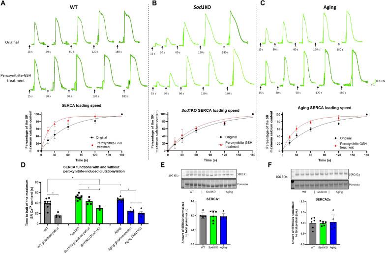 https://cdn.ncbi.nlm.nih.gov/pmc/blobs/1985/9604602/adacc32196ca/sciadv.add7377-f5.jpg