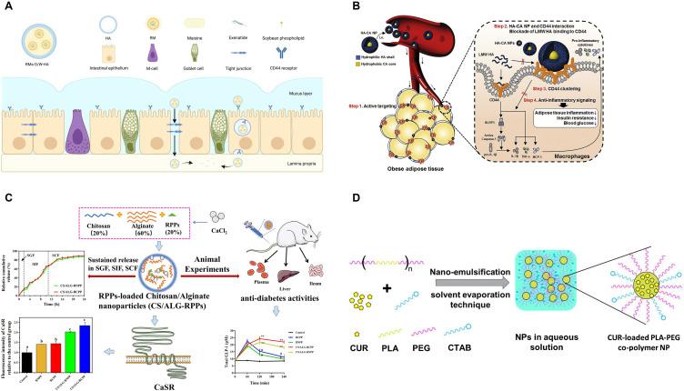 https://cdn.ncbi.nlm.nih.gov/pmc/blobs/1986/12091710/2364b20fb262/IJN-20-6221-g0003.jpg