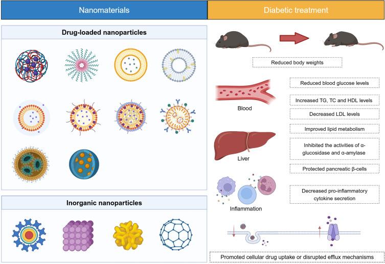 https://cdn.ncbi.nlm.nih.gov/pmc/blobs/1986/12091710/a2cd049fd9d2/IJN-20-6221-g0001.jpg