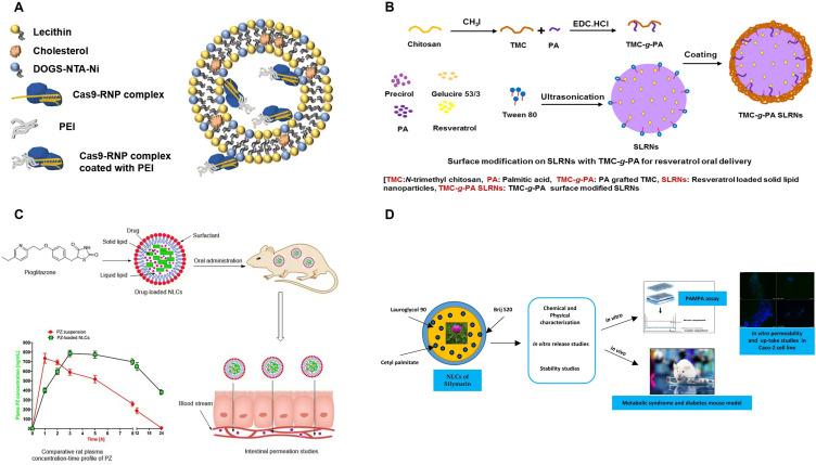 https://cdn.ncbi.nlm.nih.gov/pmc/blobs/1986/12091710/e3194f0fd4b1/IJN-20-6221-g0005.jpg