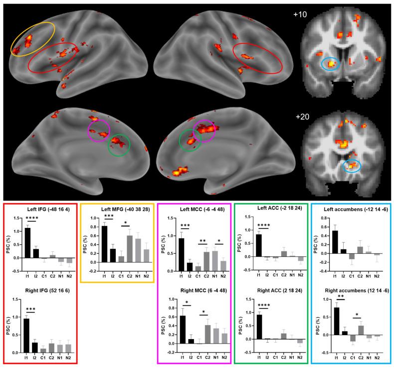 https://cdn.ncbi.nlm.nih.gov/pmc/blobs/1988/12191155/a03d4f433758/brainsci-15-00635-g002.jpg