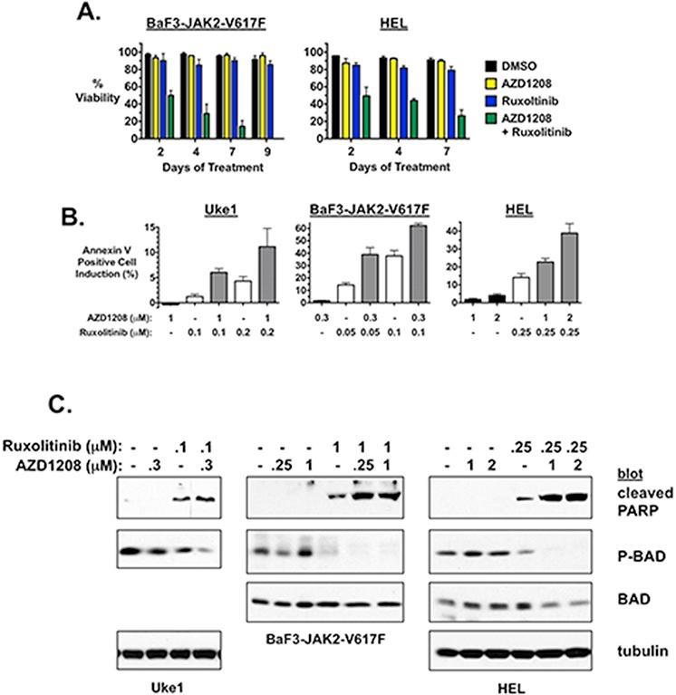 https://cdn.ncbi.nlm.nih.gov/pmc/blobs/198a/4741885/7342d26894fa/oncotarget-06-40141-g003.jpg