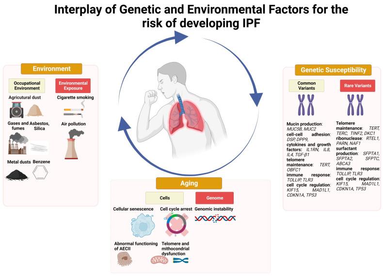 https://cdn.ncbi.nlm.nih.gov/pmc/blobs/198c/10671449/bc3f7bf864a4/ijms-24-16481-g002.jpg