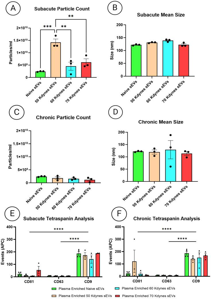 https://cdn.ncbi.nlm.nih.gov/pmc/blobs/198e/12294027/2231c72c75ed/cells-14-01065-g004.jpg