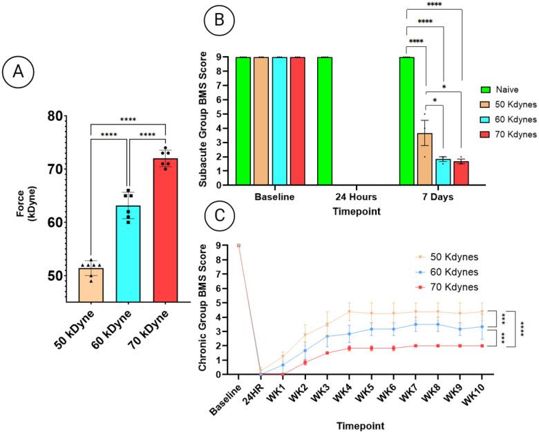 https://cdn.ncbi.nlm.nih.gov/pmc/blobs/198e/12294027/68220dca782a/cells-14-01065-g002.jpg