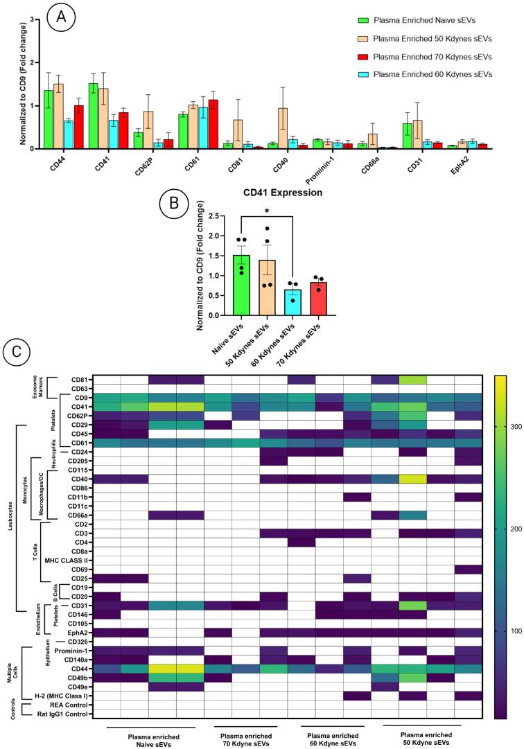 https://cdn.ncbi.nlm.nih.gov/pmc/blobs/198e/12294027/b3b8f200a7ca/cells-14-01065-g006.jpg