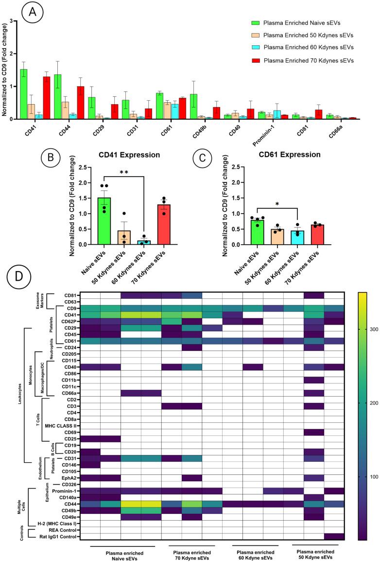 https://cdn.ncbi.nlm.nih.gov/pmc/blobs/198e/12294027/e261dba08b3f/cells-14-01065-g005.jpg