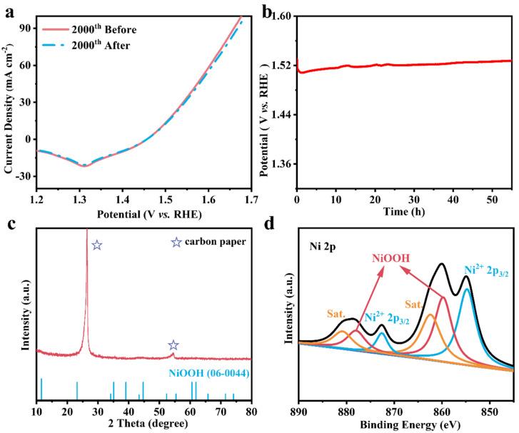 https://cdn.ncbi.nlm.nih.gov/pmc/blobs/19a5/11510525/16dd1e9eda8c/nanomaterials-14-01661-g005.jpg