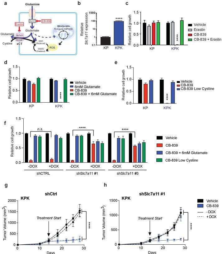 https://cdn.ncbi.nlm.nih.gov/pmc/blobs/19ad/5624783/109b5344bffd/elife-28083-fig2.jpg