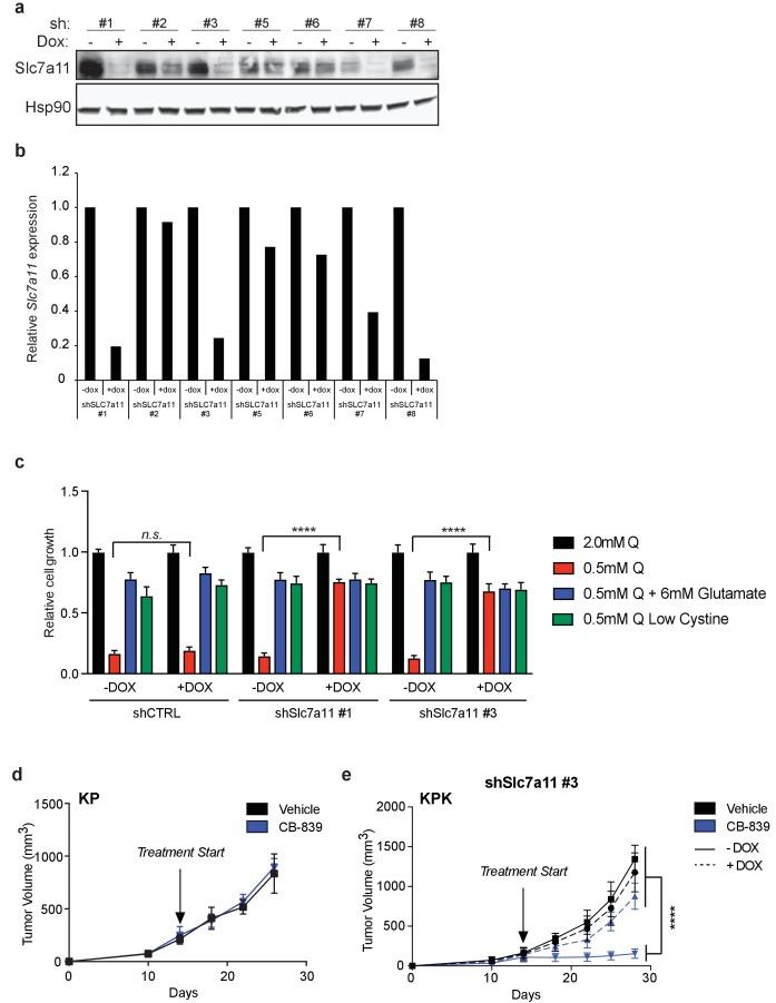 https://cdn.ncbi.nlm.nih.gov/pmc/blobs/19ad/5624783/3844e476411d/elife-28083-fig2-figsupp2.jpg