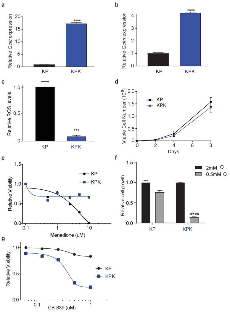 https://cdn.ncbi.nlm.nih.gov/pmc/blobs/19ad/5624783/6bd11f169fe7/elife-28083-fig1-figsupp1.jpg