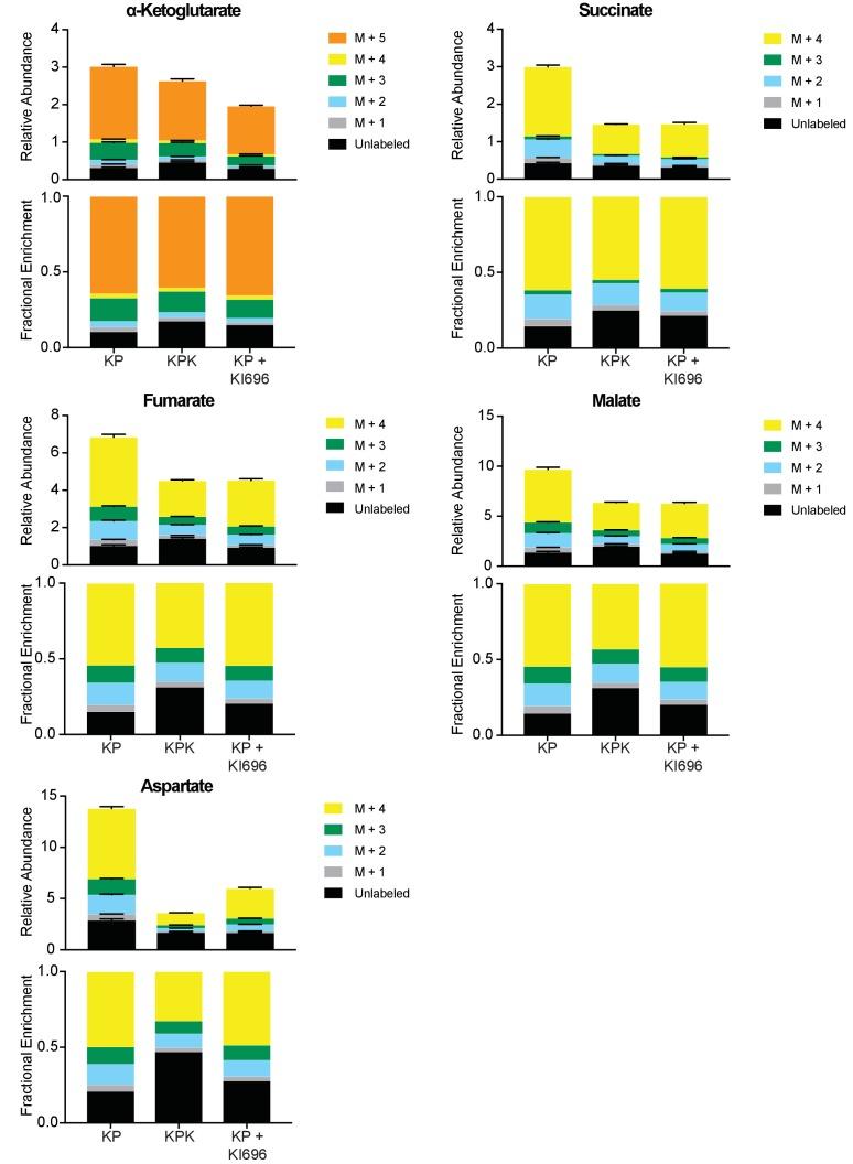 https://cdn.ncbi.nlm.nih.gov/pmc/blobs/19ad/5624783/7a107202a456/elife-28083-fig3-figsupp2.jpg