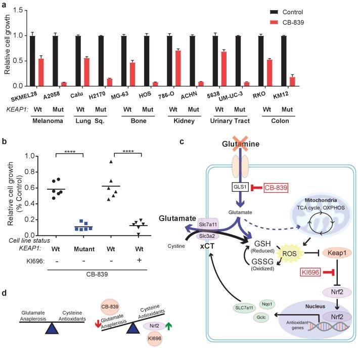 https://cdn.ncbi.nlm.nih.gov/pmc/blobs/19ad/5624783/b2962646fa06/elife-28083-fig5.jpg