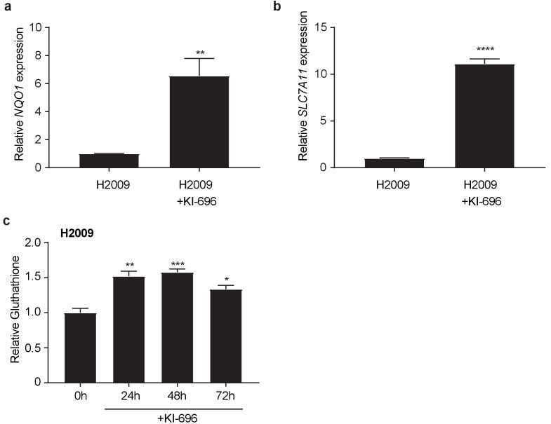 https://cdn.ncbi.nlm.nih.gov/pmc/blobs/19ad/5624783/ecf17031b7ec/elife-28083-fig4-figsupp2.jpg
