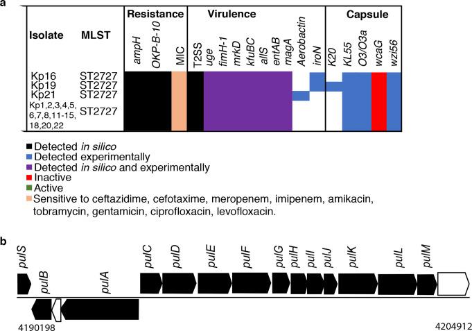 https://cdn.ncbi.nlm.nih.gov/pmc/blobs/19b4/7660260/9aa9421cccdb/mgen-6-433-g003.jpg