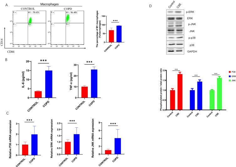 https://cdn.ncbi.nlm.nih.gov/pmc/blobs/19b6/10564081/0fe79feaece8/COPD-18-2195-g0003.jpg