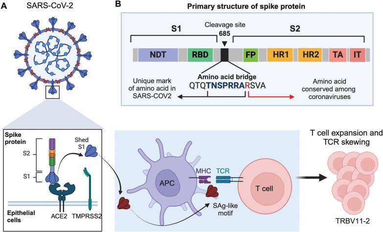 https://cdn.ncbi.nlm.nih.gov/pmc/blobs/19d4/11749780/9246d6470624/lnae034_fig3.jpg