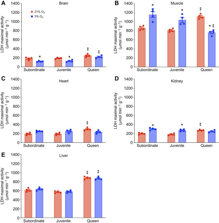 https://cdn.ncbi.nlm.nih.gov/pmc/blobs/19d9/12377813/1e08c3ce2cb3/jexbio-228-250397-g3.jpg