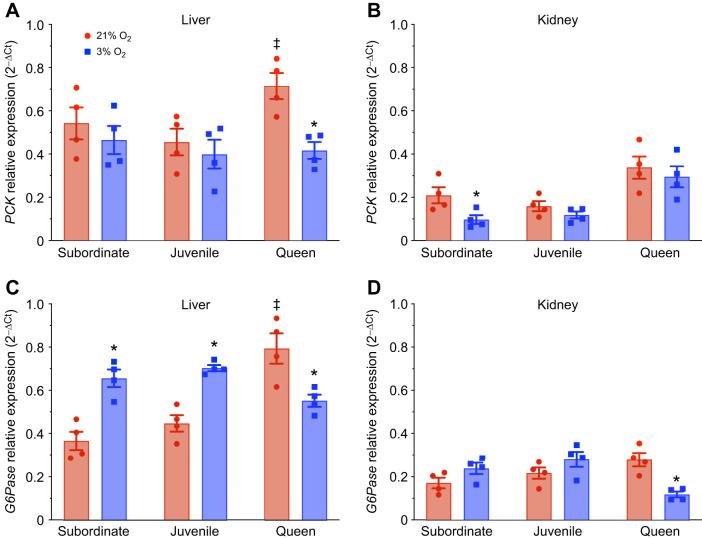 https://cdn.ncbi.nlm.nih.gov/pmc/blobs/19d9/12377813/6c03cc72bbd0/jexbio-228-250397-g8.jpg