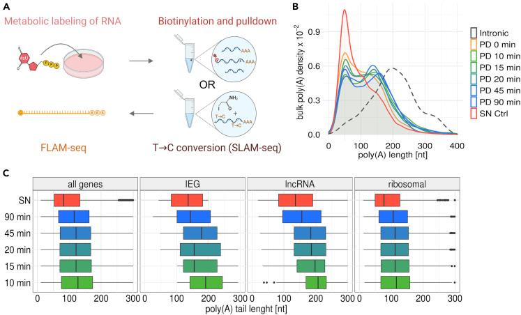 https://cdn.ncbi.nlm.nih.gov/pmc/blobs/19e4/9860345/0d625f0fd560/gr2.jpg