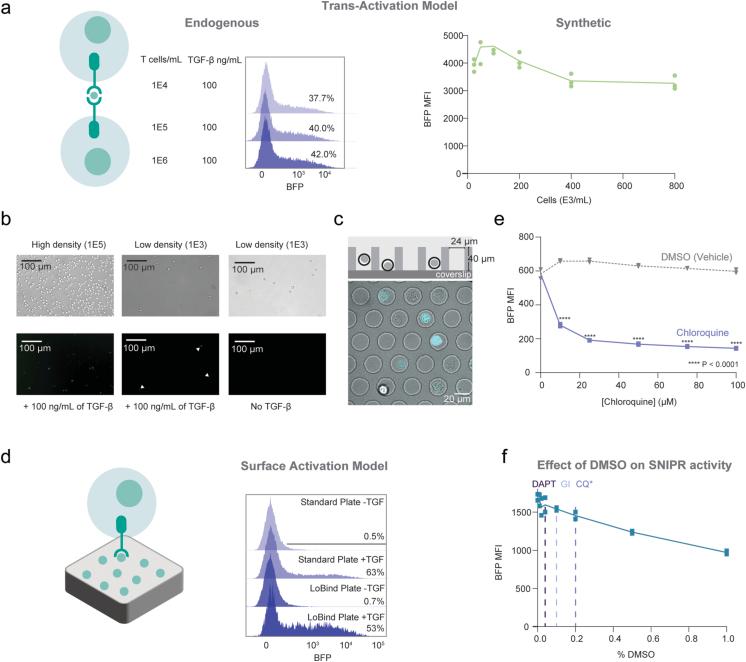 https://cdn.ncbi.nlm.nih.gov/pmc/blobs/19ec/11839477/154513a89c35/41586_2024_8366_Fig7_ESM.jpg