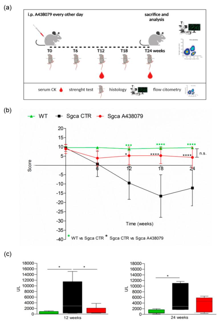 https://cdn.ncbi.nlm.nih.gov/pmc/blobs/19ee/8777980/efd9bae86ea8/pharmaceuticals-15-00089-g001.jpg