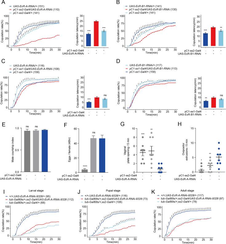 https://cdn.ncbi.nlm.nih.gov/pmc/blobs/19f8/11379460/9e825690ee80/elife-92545-fig5.jpg