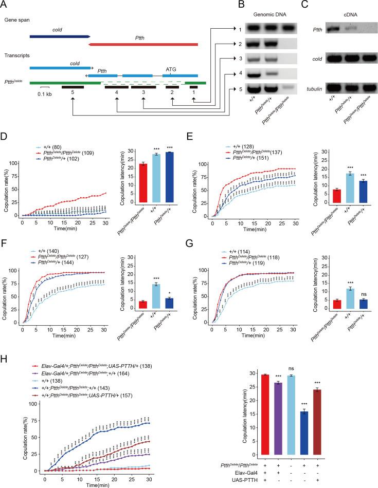 https://cdn.ncbi.nlm.nih.gov/pmc/blobs/19f8/11379460/f53409901df8/elife-92545-fig1.jpg