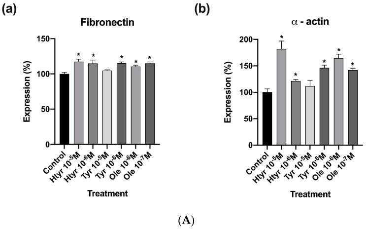 https://cdn.ncbi.nlm.nih.gov/pmc/blobs/1a27/10181161/b9b832ea147e/nutrients-15-02077-g004a.jpg
