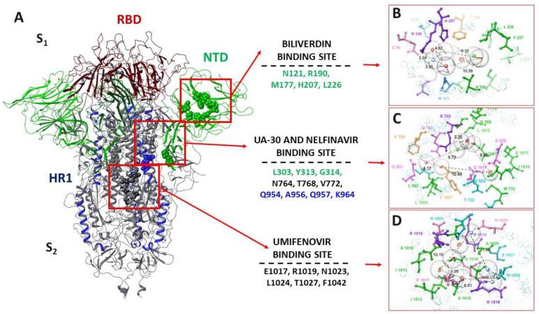 https://cdn.ncbi.nlm.nih.gov/pmc/blobs/1a5a/9611092/677544592ea8/viruses-14-02154-g004.jpg