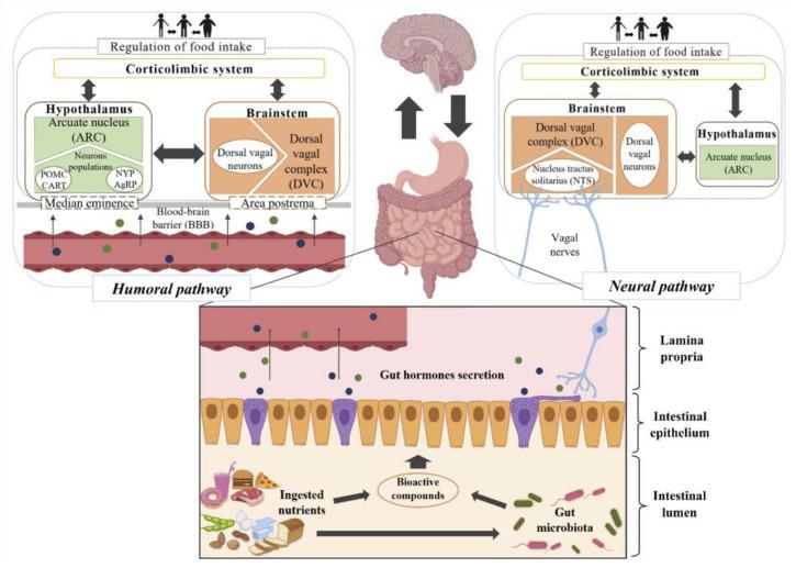 https://cdn.ncbi.nlm.nih.gov/pmc/blobs/1a6f/7919798/d4b1676b0a76/nutrients-13-00632-g001.jpg