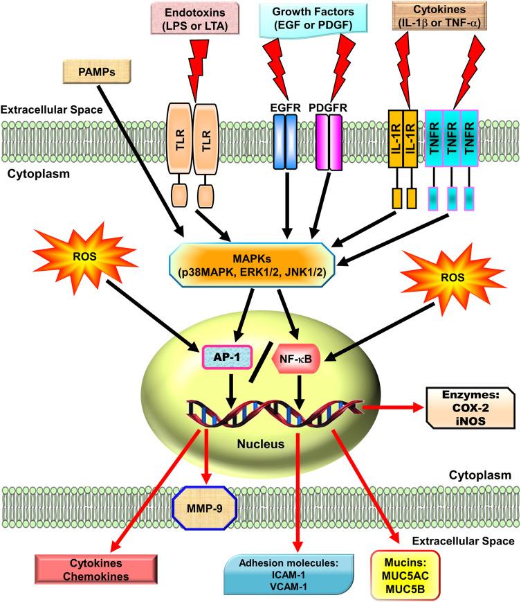 https://cdn.ncbi.nlm.nih.gov/pmc/blobs/1a75/7940992/b196b1be85ef/JIR-14-657-g0001.jpg