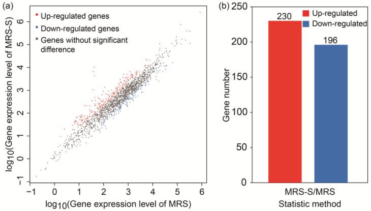 https://cdn.ncbi.nlm.nih.gov/pmc/blobs/1a7c/11241291/7684385feb20/ijms-25-07185-g003.jpg