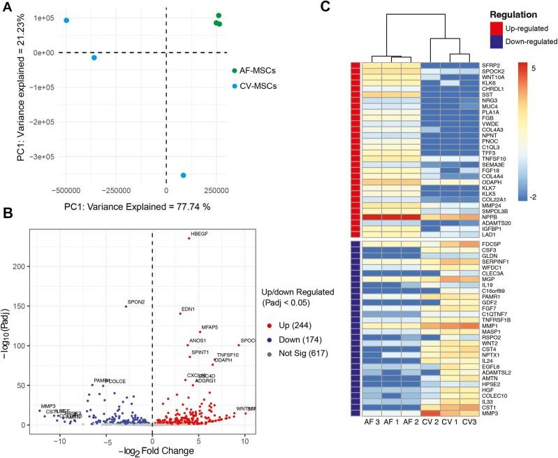 https://cdn.ncbi.nlm.nih.gov/pmc/blobs/1a92/11227973/839d929ad627/szae024_fig3.jpg