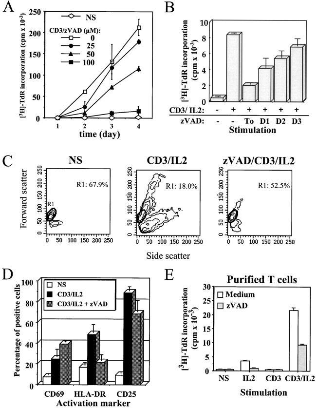 https://cdn.ncbi.nlm.nih.gov/pmc/blobs/1a93/2195712/337f6feced52/JEM980433.f1.jpg
