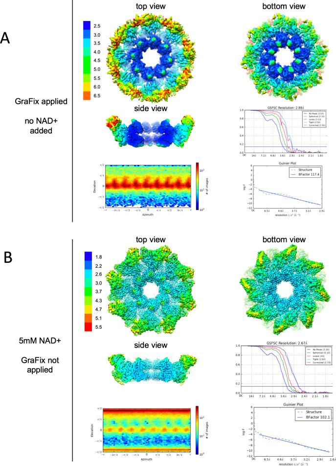 https://cdn.ncbi.nlm.nih.gov/pmc/blobs/1ab1/7688312/700ec75ea94e/elife-62021-fig2-figsupp2.jpg