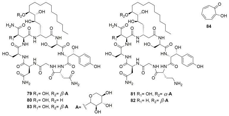 https://cdn.ncbi.nlm.nih.gov/pmc/blobs/1ace/9958762/2882fe27f6bc/molecules-28-01646-g010.jpg