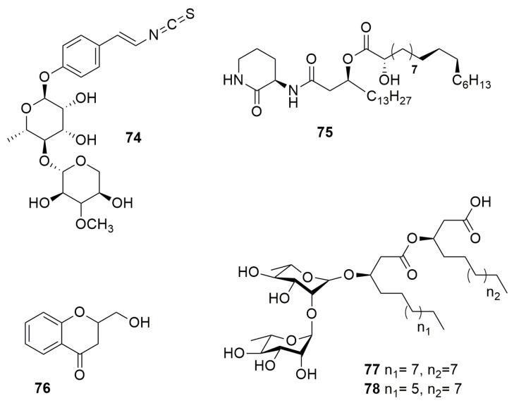 https://cdn.ncbi.nlm.nih.gov/pmc/blobs/1ace/9958762/433de90d3484/molecules-28-01646-g009.jpg