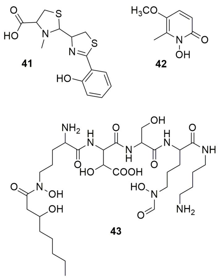 https://cdn.ncbi.nlm.nih.gov/pmc/blobs/1ace/9958762/7b9629b5942e/molecules-28-01646-g005.jpg