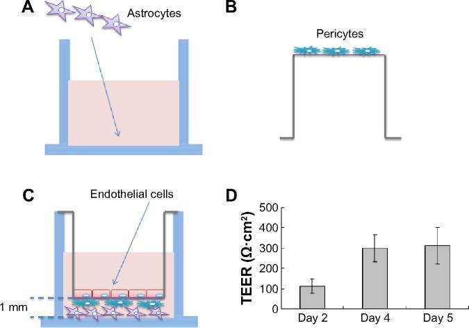 https://cdn.ncbi.nlm.nih.gov/pmc/blobs/1ae6/4598217/e2fc92977126/ijn-10-6105Fig3.jpg