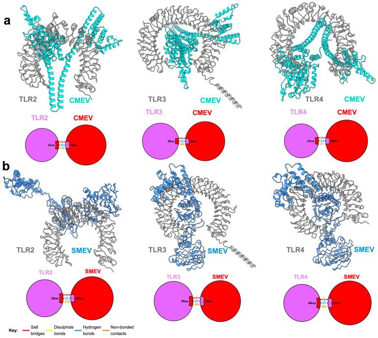 https://cdn.ncbi.nlm.nih.gov/pmc/blobs/1b00/11509903/a4dc2dfa30b6/pathogens-13-00850-g004.jpg