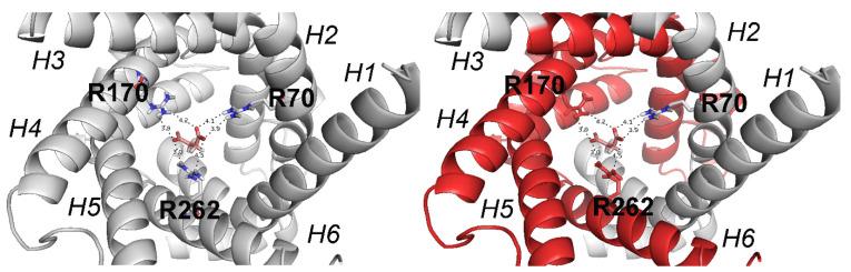 https://cdn.ncbi.nlm.nih.gov/pmc/blobs/1b10/9182050/61a22ebf8d4c/molecules-27-03494-g006.jpg