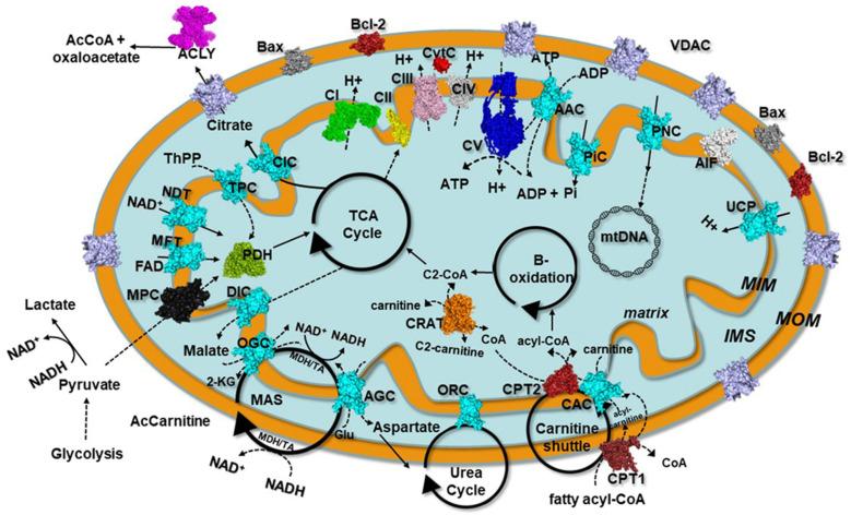 https://cdn.ncbi.nlm.nih.gov/pmc/blobs/1b10/9182050/83af0428823f/molecules-27-03494-g002.jpg