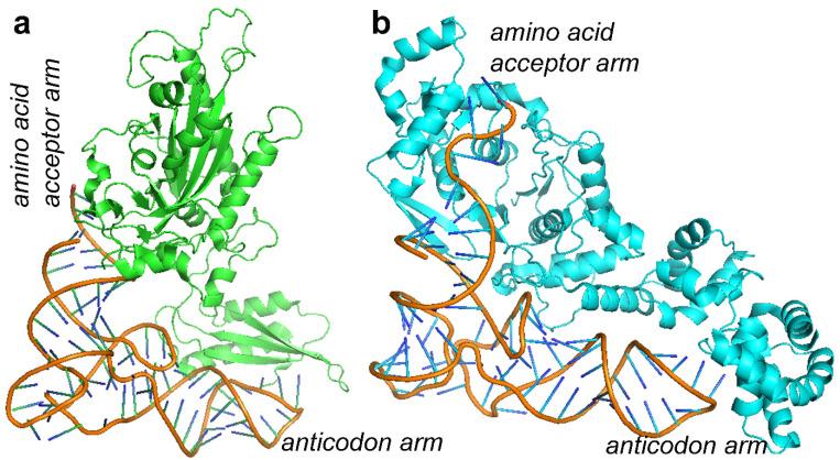https://cdn.ncbi.nlm.nih.gov/pmc/blobs/1b10/9182050/f845be72d98f/molecules-27-03494-g007.jpg